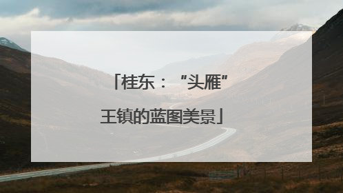 桂东：“头雁”王镇的蓝图美景